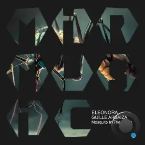Eleonora & Guille Arbaiza - Mosquito in the Room (2025)