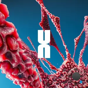 Maurer - Revival (2025)