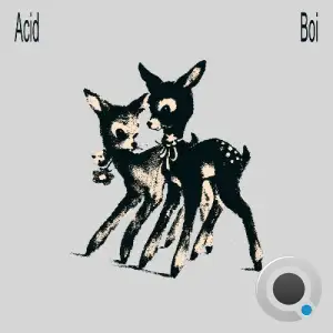 Acid Boi - A C I D. W A V (2025)