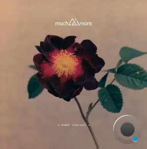 MM003 Rose (2025)