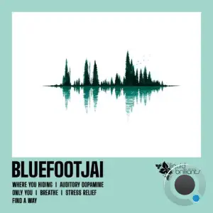 Bluefootjai - Where You Hiding (2025)