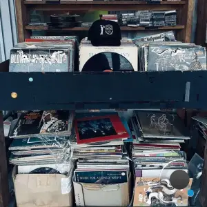 Jazzy lion man - Dollar Bin Bandit, Vol. 1 (2025)