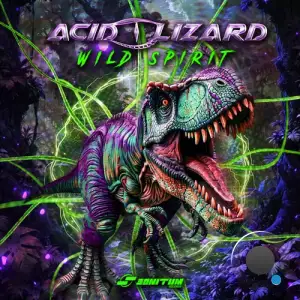 Acid Lizard And Nanospace - Wild Spirit (2025)