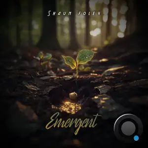 Shaun Foley - Emergent (2025)