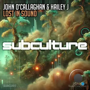 John O'callaghan And Hailey J - Lost In Sound (2025)