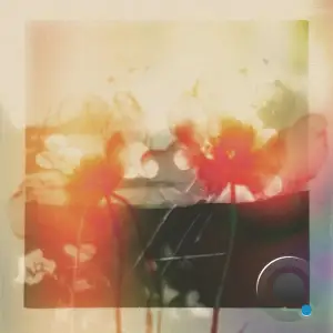 Gyrofield - Akin / Mother (2025)