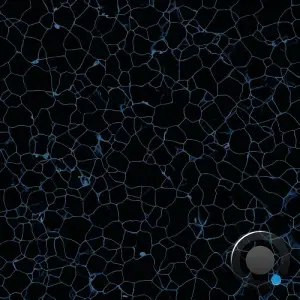 Pannotia - Cell (2025)