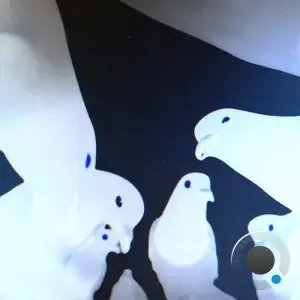 Stimming - Friedrich (2025)