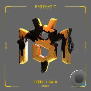 Akoka - I Feel / Gaji (2025)