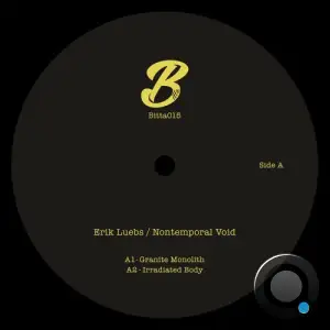 Erik Luebs - Nontemporal Void (2025)