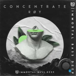 RØY - Concentrate (2025)