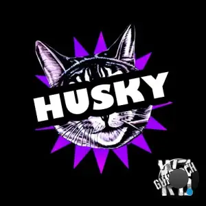 Insmnc, WZRD Gundlach, Night Mode - HUSKY (2025)