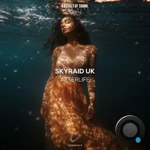 Skyraid Uk - Afterlife (2025)