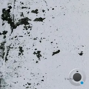 Veiga - Surto (2025)