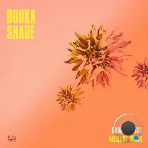 Booka Shade - Broken Glass (Helsloot Remix) (2025)