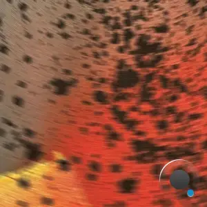 Sciahri - Pareidolia III (2025)