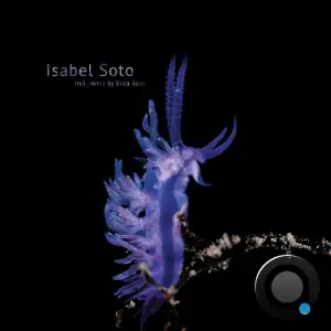 Isabel Soto - Habitat Alteration (2025)