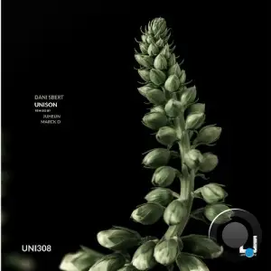 Dani Sbert - Unison (2025)