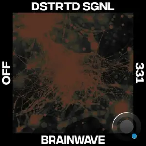 DSTRTD SGNL - Brainwave (2025)