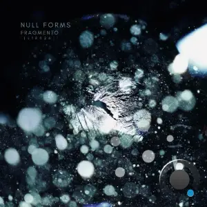 Null Forms - Fragmento (2025)