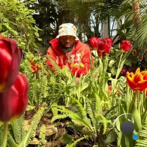 Flowers Never Bloom Before The Sun Comes (2025)