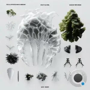 The Illustrated Man & Dibidabo - What You Feel (2025)