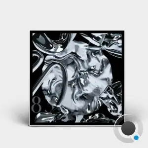 The Opponent - Self Restriction (2025)