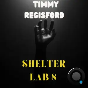Timmy Regisford - Shelter Lab 8 (2025)