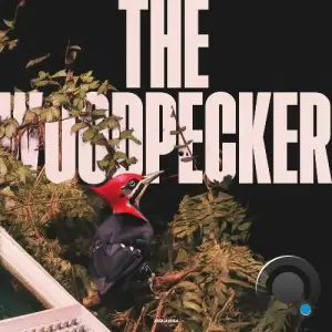 Arkaik - The Woodpecker (2025)