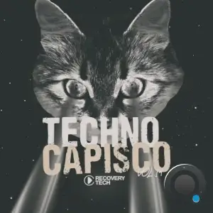 Techno Capisco, Vol. 14 (2025)