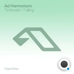 Ad Harmonium - Tintswalo / Falling (2025)