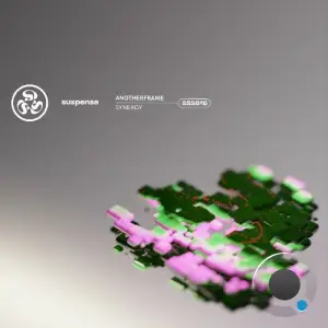 Anotherframe - Synergy (2025)