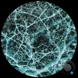Jonas Kopp - Indigo System (2025)