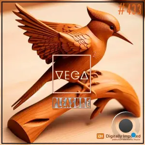 Vega Z - Pleasure 433 (2025-05-28)