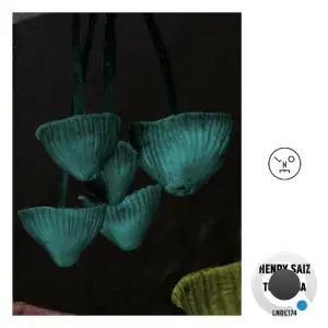 Henry Saiz - Turquesa (2025)