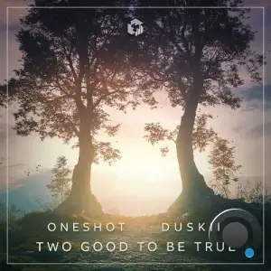 Oneshot & Duskii - Two Good to Be True (2025)