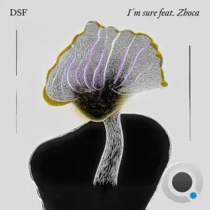 DSF - I'm Sure (2025)