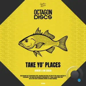 Audent & No Chasa - Take Yo' Places (2025)