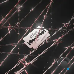 Calyx - Deadly / Gully (2025)