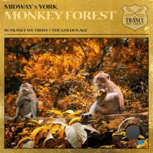 Midway & York - Monkey Forest (2025)