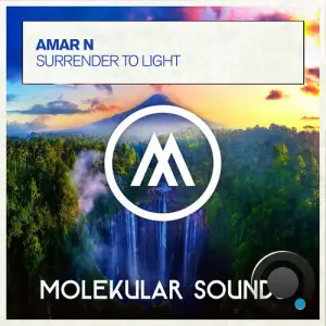 Amar N - Surrender To Light (2025)