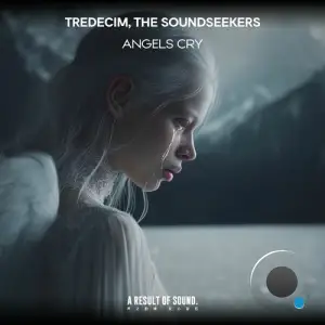 The Soundseekers & Tredecim - Angels Cry (2025)