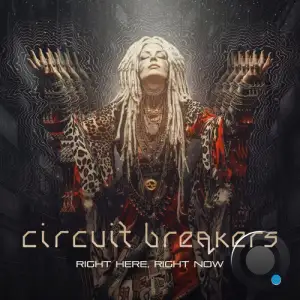 Circuit Breakers Vs. Burn In Noise And Dickster - Right Here, Right Now (2025)