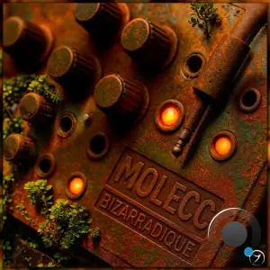Molecc - Bizarradique (2025)