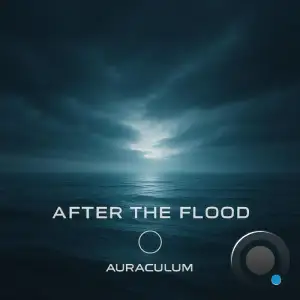 Shaun Foley - After The Flood (2025)