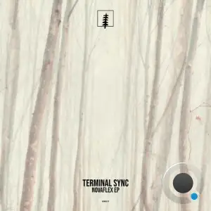 Terminal Sync - Novaflex (2025)