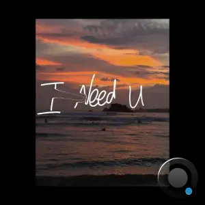 Golowko & Pictor - I Need You (2025)