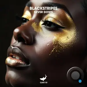 Blackstripes - Never Down (2025)