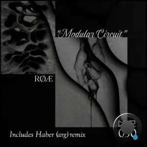 RØÆ - Modular Circuit (2025)