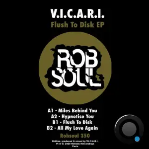 V.I.C.A.R.I. - Flush To Disk (2025)